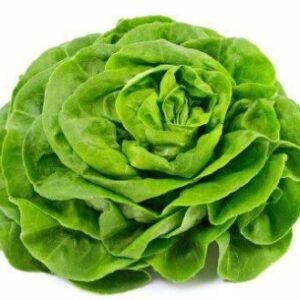 Lechuga orgánica